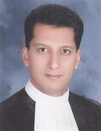 وکیل سیدوحید رضا روزگار
