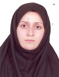 وکیل الهام الهامی