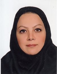 وکیل مهری برجی