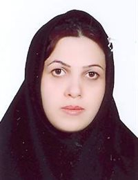 وکیل زهرا ولی زاده کوچه