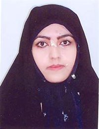 وکیل سمیه ودودی