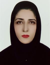 وکیل اشرف صیفی