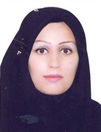 وکیل نگین پایدار