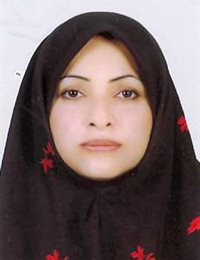 وکیل ایران طالشی شریفی