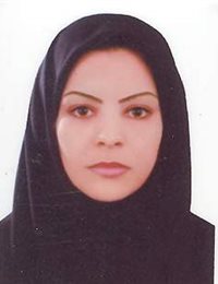 وکیل مهری علی بیگی بنی