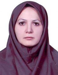 وکیل اکرم رضایی