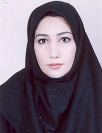 وکیل سمیه ساداتی