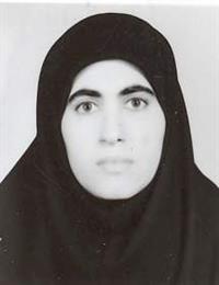وکیل نسرین چراغی