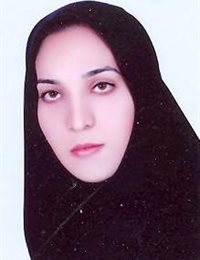 وکیل الهام باقری