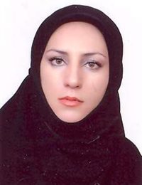 وکیل مریم باغجری