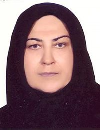 وکیل مینا جمالی
