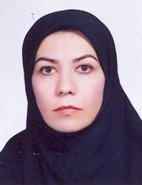 وکیل مریم سیداحمدی