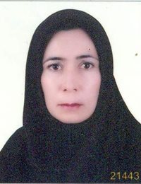 وکیل اعظم دیباور