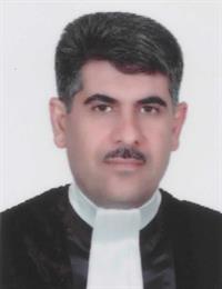 وکیل رهام میرفردی