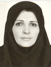 وکیل مینا ایزدی