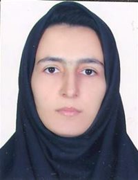 وکیل پریسا حسینی میرمحمدی
