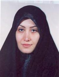 وکیل سرور میرلوحی
