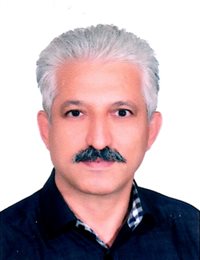 وکیل علی حسن پور مافی