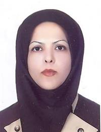 وکیل فریبا امینی