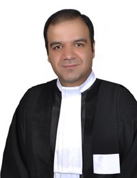 وکیل محمد حسنی