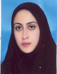 وکیل رضوان سلیمانی