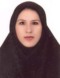 وکیل حمیده رزمی