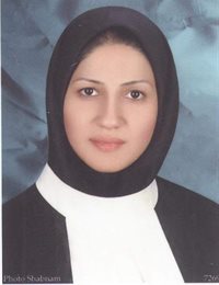 وکیل پرستو ارلانی