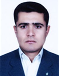 وکیل حسن انوشه