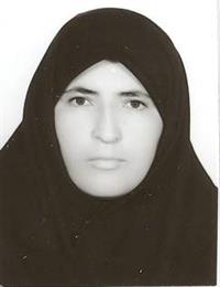 وکیل اکرم موسوی