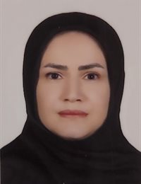 وکیل فاطمه نقی زاده خواجکینی
