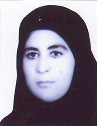 وکیل اعظم تقی زاده