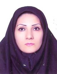 وکیل مرال طریقی