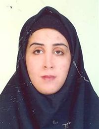 وکیل لادن وکیلی