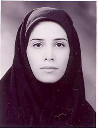 وکیل هانیه رستمی