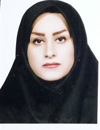 وکیل اکرم پیرزاده مقدم