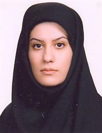 وکیل مینا میرزائی