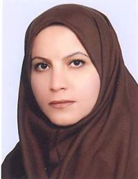 وکیل لیلا خوارزمی