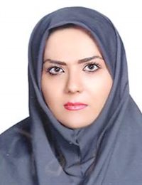 وکیل مینا مهدیلو