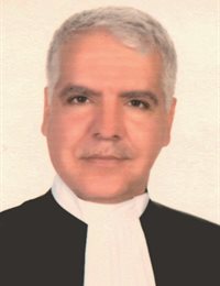وکیل فضل اله امیرحاجلو
