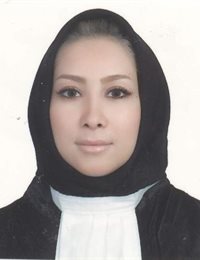 وکیل سوده کرمی رباطی