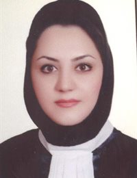 وکیل راضیه موسوی شهرکی