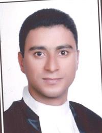 وکیل مهدی نگارنده
