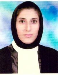 وکیل مونا رستمی