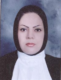 وکیل رقیه روشن