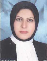 وکیل مرضیه رفیعی ده بیدی