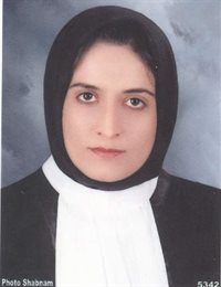 وکیل مژگان رضائی