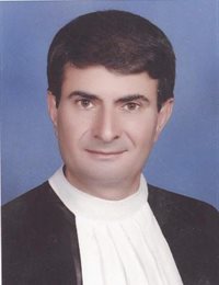 وکیل علی حسین محمدی