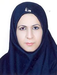 وکیل مریم دریس زائری