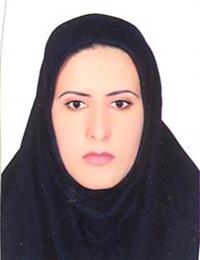 وکیل نرگس عزیزی میربک