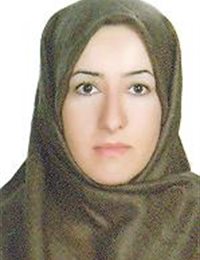 وکیل وحیده حسینی